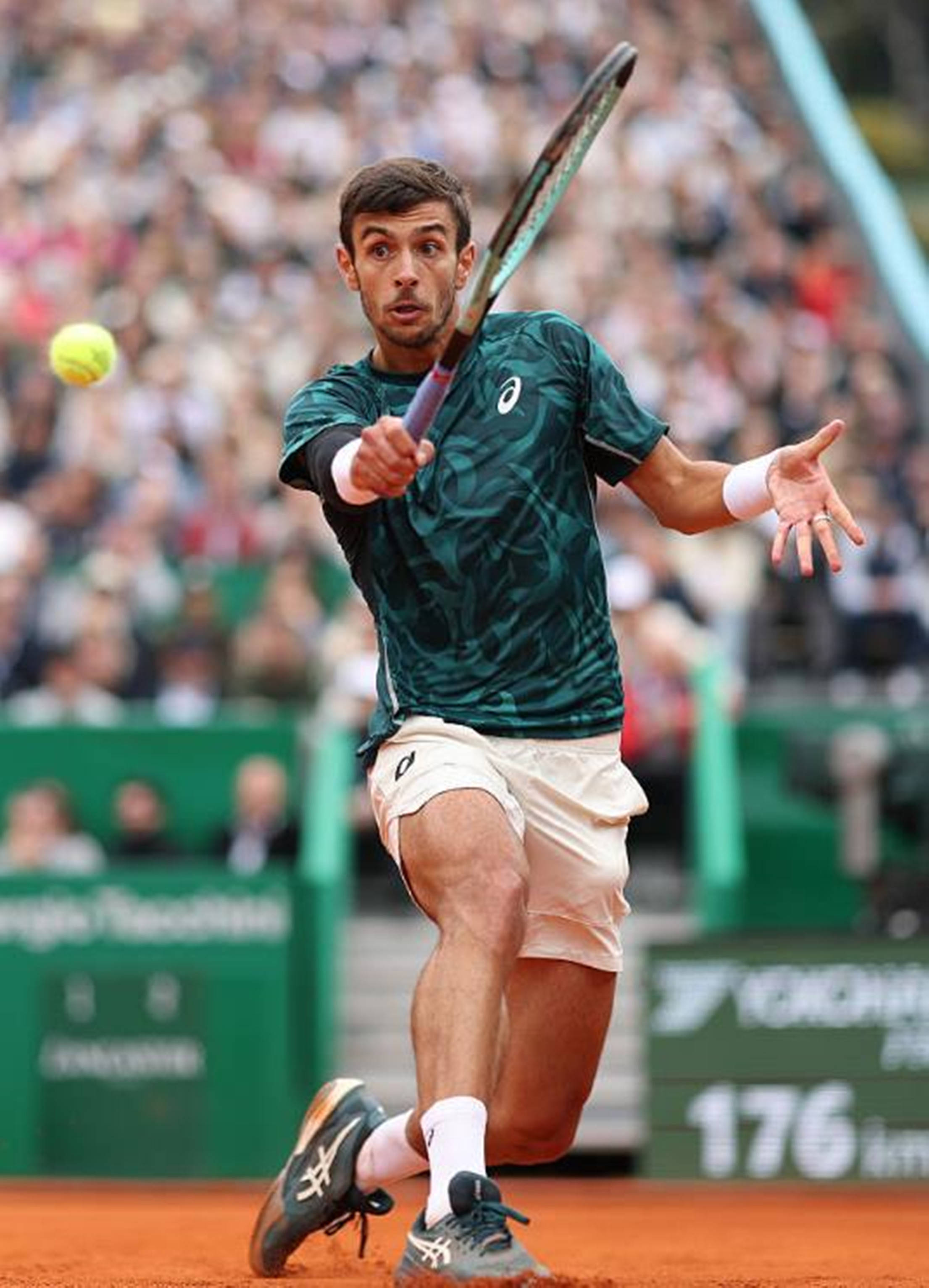 内尊敬的篮 内尊敬的篮