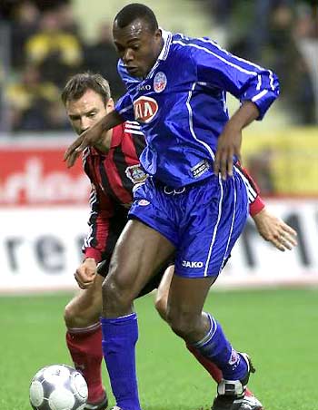 它融合了藏 它融合了藏