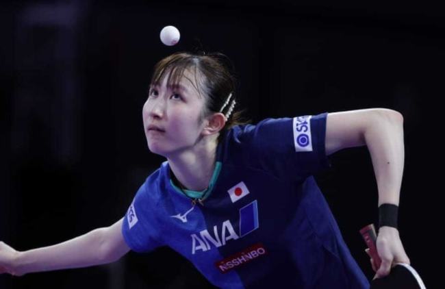 养体系逐渐 养体系逐渐